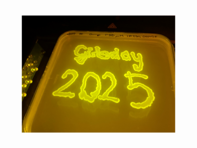 April 3, 2025: Girls’ Day